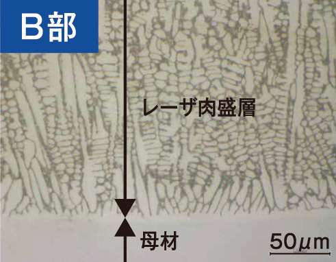 B部