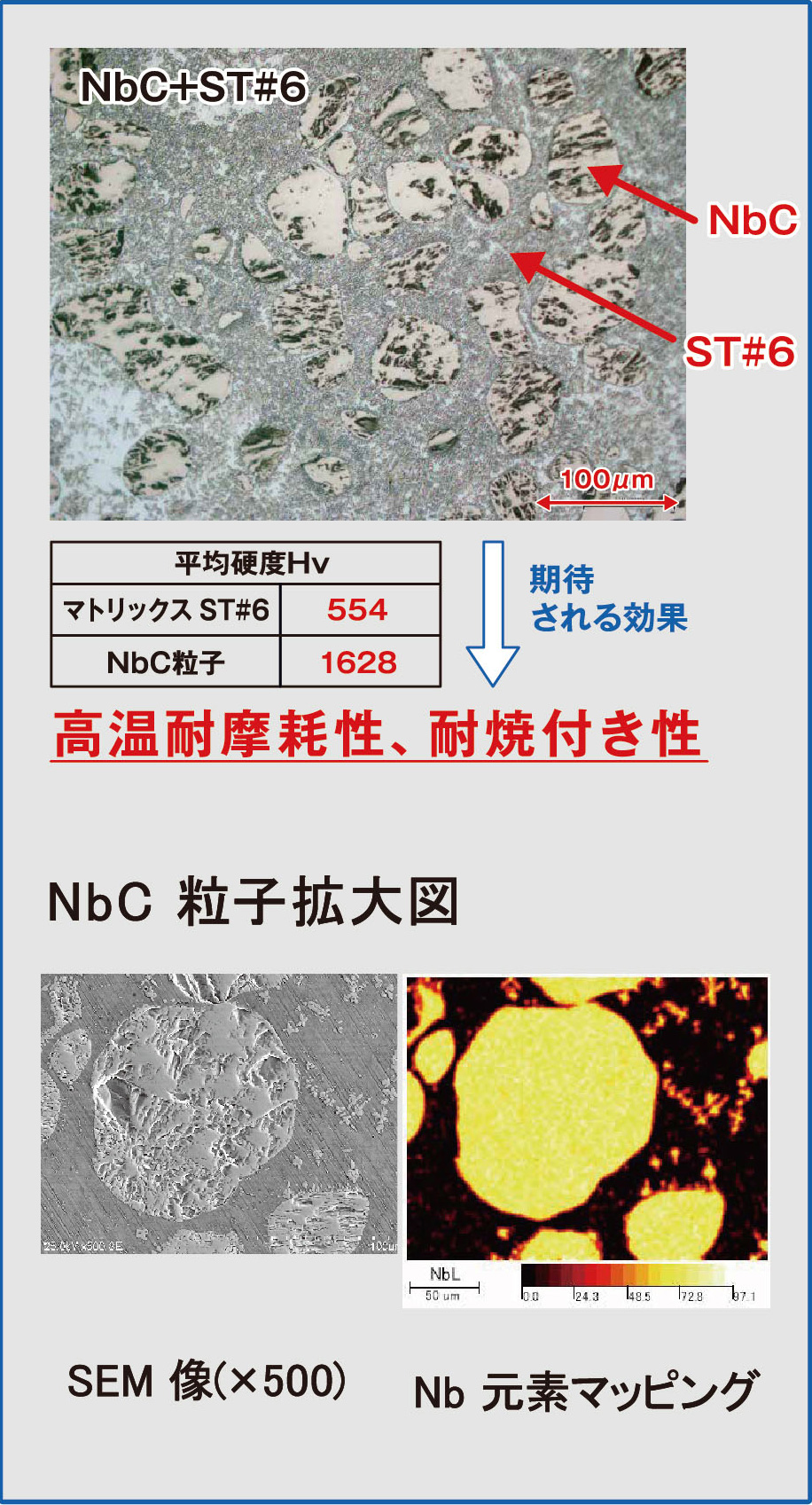 NbC粒子拡大図