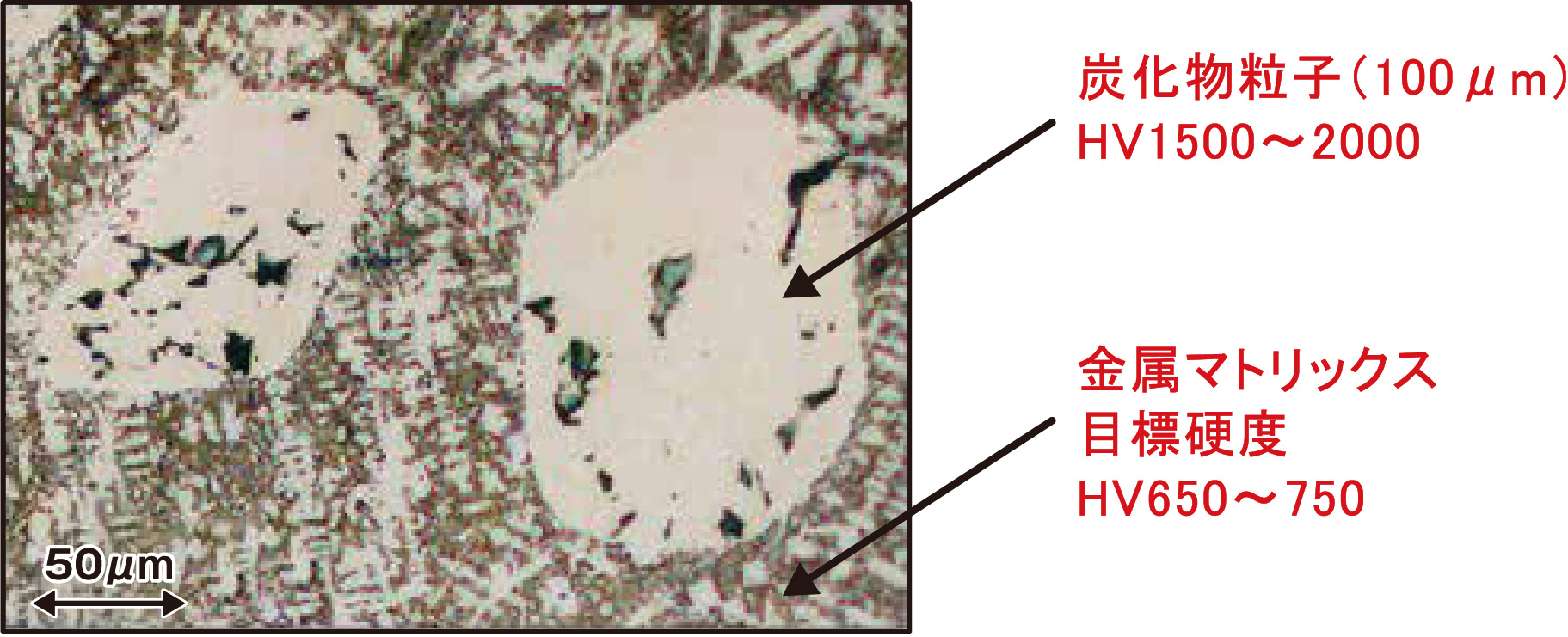 今後の目標2